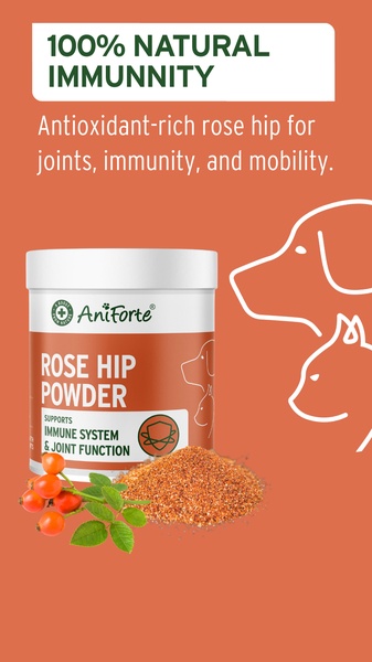 A vertical 9:16 ad creative featuring a direct product shot, a list of benefits, and stylized line art of a dog and cat on a solid terracotta background.